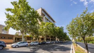 Apartment in Doctor Fedriani photo 58