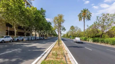 Apartment in Doctor Fedriani photo 59
