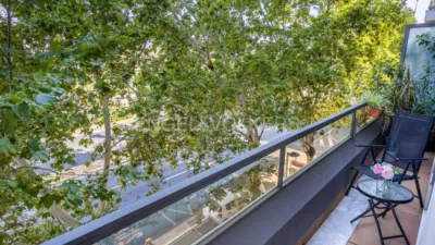 Apartment in Doctor Fedriani photo 6