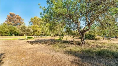 Rustic house in Algaida photo 26