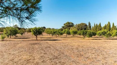 Rustic house in Algaida photo 27