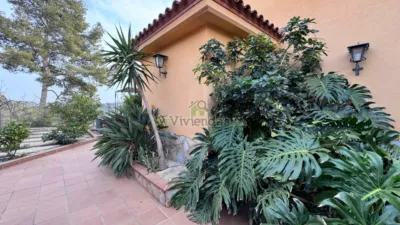 House on Calle Setena Avinguda, No. 16 photo 8