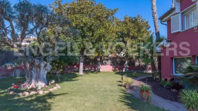 House in Alella photo 8