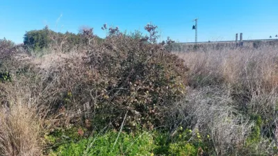 Terreno en venta en Beniarbeig - Vista 5