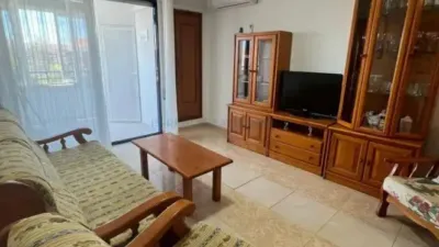 Apartment in Acequión-Los Naúfragos photo 5