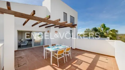 Pis – Orihuela, Villa Martín - Vista 4