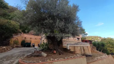House on Carrer Major, 633 photo 41