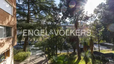 Apartamento en alquiler en Calle del Pinar - Imagen 19