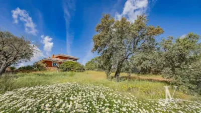 Chalet in Ciudalcampo-Fuente del Fresno photo 18