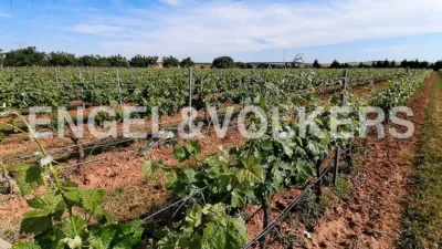 Casa en Chinchilla de Monte-Aragón photo 20