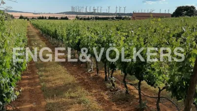 Casa en Chinchilla de Monte-Aragón photo 22