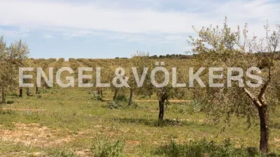 Casa en Chinchilla de Monte-Aragón photo 37