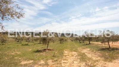Casa en Chinchilla de Monte-Aragón photo 38
