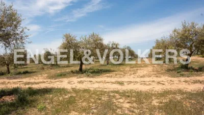 Casa en Chinchilla de Monte-Aragón photo 39