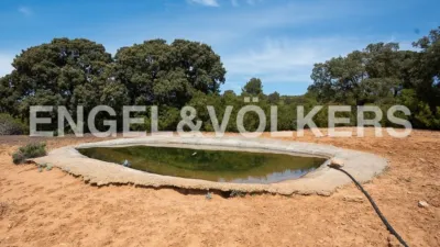 Casa en Chinchilla de Monte-Aragón photo 40