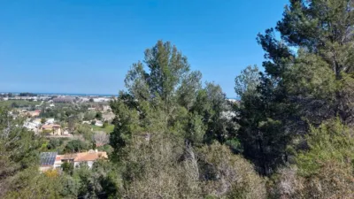 Terreno en venta en La Pedrera-Vessanes - Vista 4
