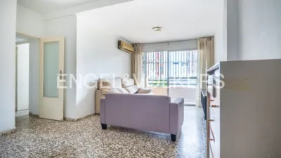 Apartment in Doctor Fedriani photo 15
