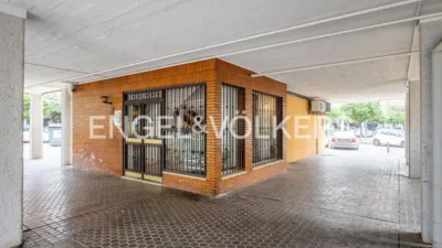 Apartment in Doctor Fedriani photo 31