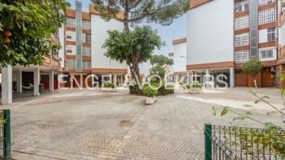 Apartment in Doctor Fedriani photo 33