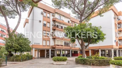 Apartment in Doctor Fedriani photo 34