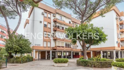 Apartment in Doctor Fedriani photo 35