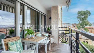 Apartment in El Porvenir photo 21