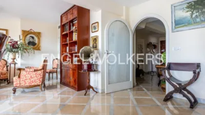 Apartment in El Porvenir photo 23