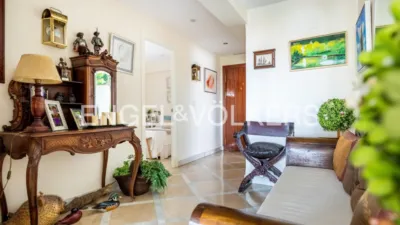 Apartment in El Porvenir photo 33