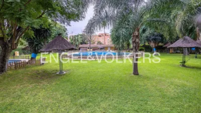 Apartment in El Porvenir photo 5