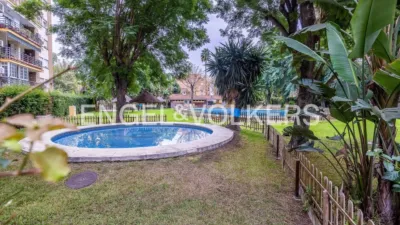 Apartment in El Porvenir photo 8