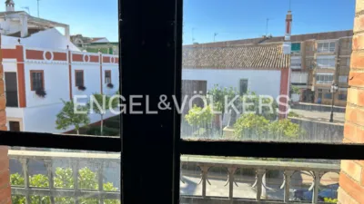 House in La Palma del Condado photo 35