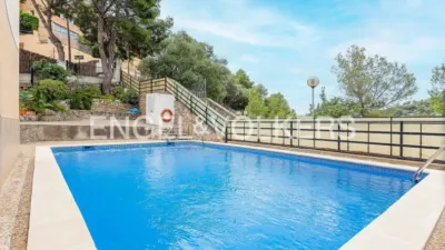 Apartment in El Poal photo 25