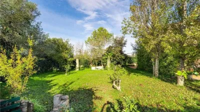 Chalet in Algaida photo 27