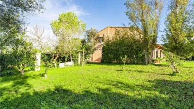 Chalet in Algaida photo 28