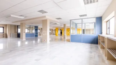 Piso en alquiler en Pisa-Santa Rita, Pisa-Santa Rita (Mairena del Aljarafe) de 18.000 €<span>/mes</span>