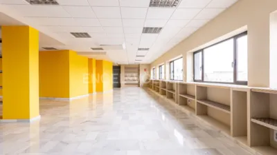 Piso en alquiler en Pisa-Santa Rita, Pisa-Santa Rita (Mairena del Aljarafe) de 18.000 €<span>/mes</span>