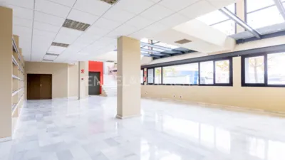 Piso en alquiler en Pisa-Santa Rita, Pisa-Santa Rita (Mairena del Aljarafe) de 18.000 €<span>/mes</span>