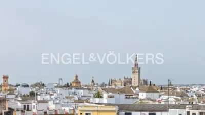 Apartment on Calle Recaredo photo 3