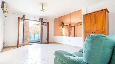 Apartment in Nou Llevant photo 13
