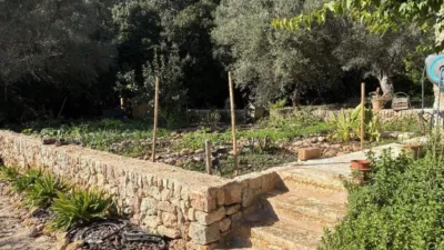 Rustic house in Pollença photo 29