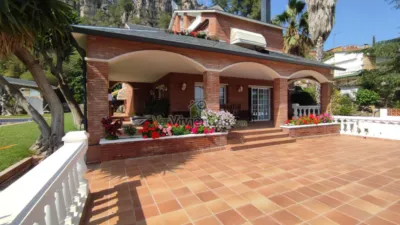 House on Carrer Major, 232 photo 85