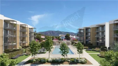 Apartment in Palmanova-Son Caliu photo 10