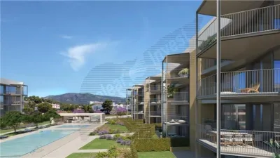 Apartment in Palmanova-Son Caliu photo 12