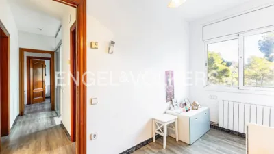 House in Torrelles de Llobregat photo 17