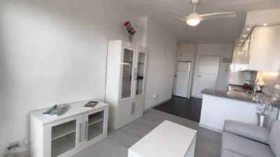 Apartment on Calle Lirio, 16 photo 12