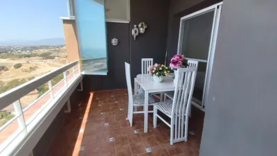 Apartment on Calle Lirio, 16 photo 13