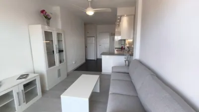 Apartment on Calle Lirio, 16 photo 15