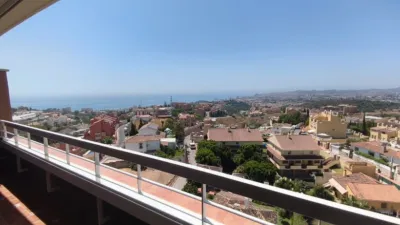 Apartment on Calle Lirio, 16 photo 21
