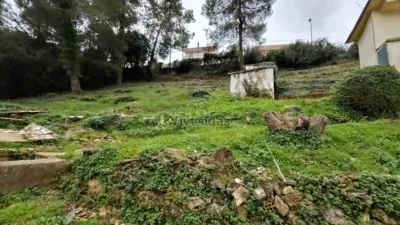 House in Vallirana photo 26