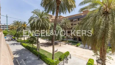 Apartment in La Carrasca photo 6